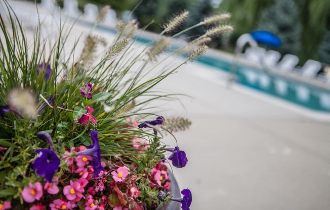 Flowerpot by Pool at Prentiss Pointe Apartments, MI