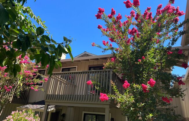 Great location, Ready for Move-In