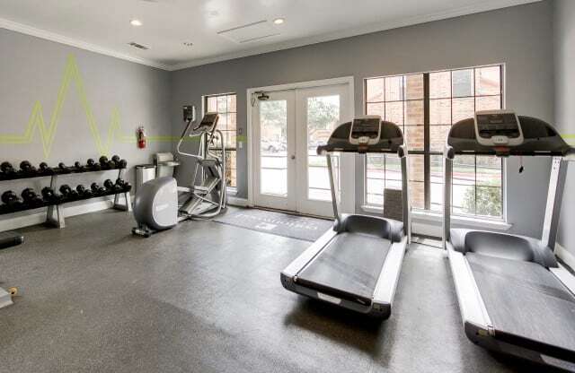 the gym is equipped with cardio equipment and weights