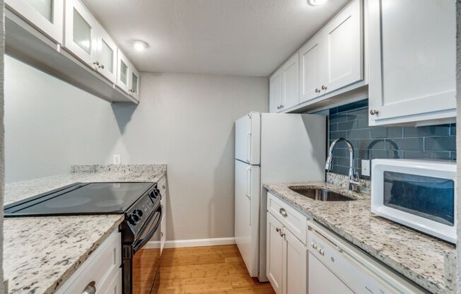 Modern One Bedroom Apartment in North Oak Lawn!