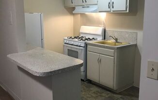 1 bed, 1 bath, 394 sqft, $860, Unit 304