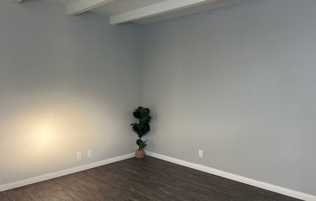 1 bed, 1 bath, 480 sqft, $2,300, Unit 74