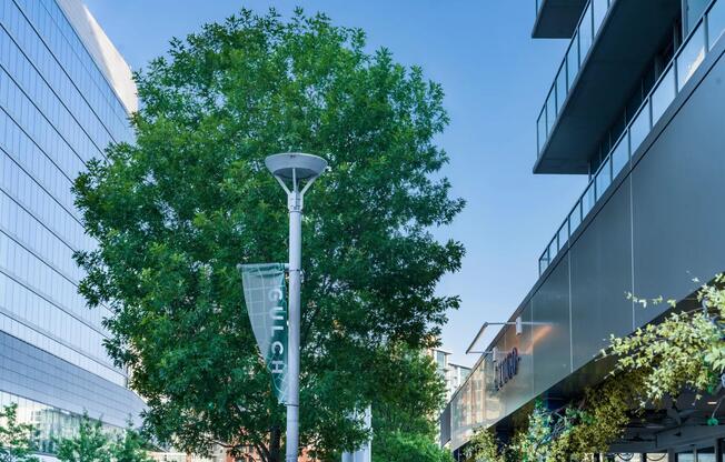 Enjoy the unbeatable convenience of living at Modera Gulch, just steps from the vibrant shops, dining, and wellness studios of The Gulch neighborhood.