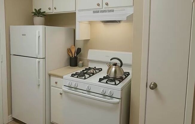 1 bed, 1 bath, 610 sqft, $1,250, Unit 232