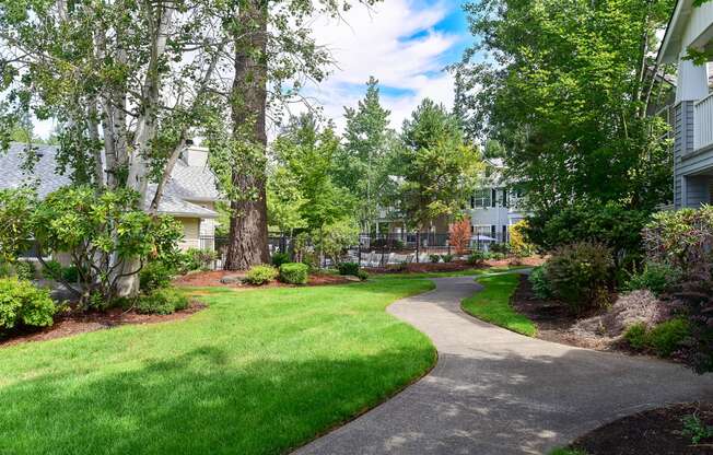 a walkway through a yard with trees and houses