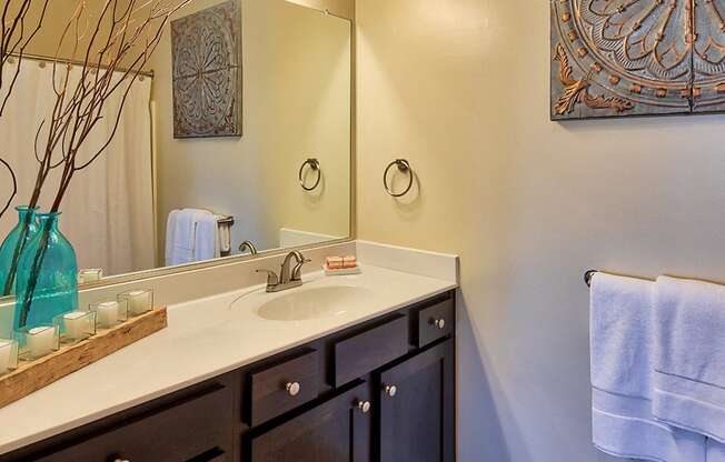 Baths with Espresso Cabinets at Solace Apartments