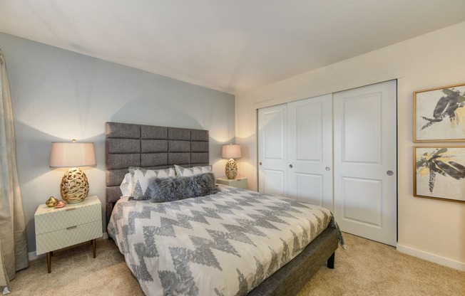 Bedroom with Large Closet, Carpet, Gray Bedframe, and White Bedside Dresser with Lamp