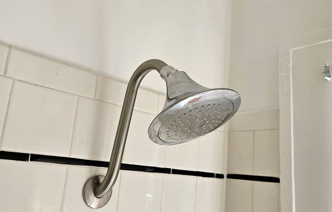 Studio, 1 bath, 337 sqft, $1,249, Unit 29