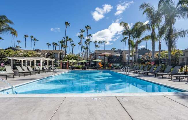 the swimming pool at the resort at longboat key club