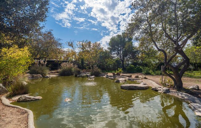 4 beds, 4 baths, $6,500, Unit #B