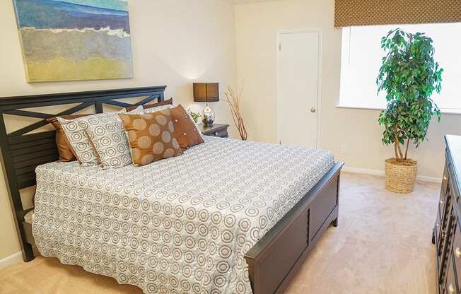 Bedroom Apartment near Little Creek in Norfolk VA