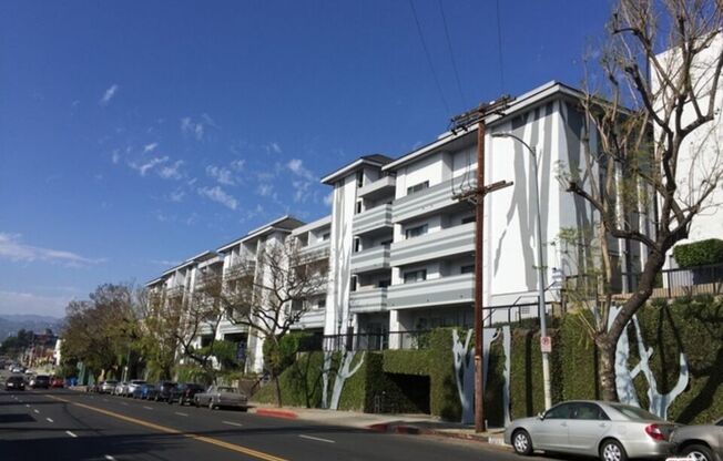 Studio, 1 bath, 427 sqft, $1,699, Unit 1103