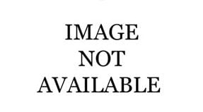 Studio, 1 bath, 289 sqft, $1,589