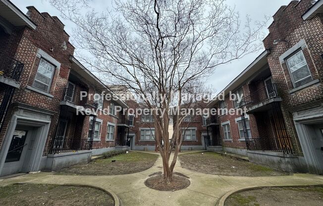 220 S. Cleveland St