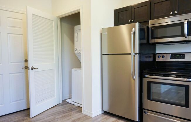 Studio, 1 bath, 356 sqft, $1,249, Unit 2-203