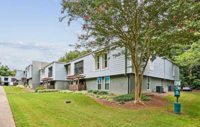 A tree with pink flowers is in front of a grey building.