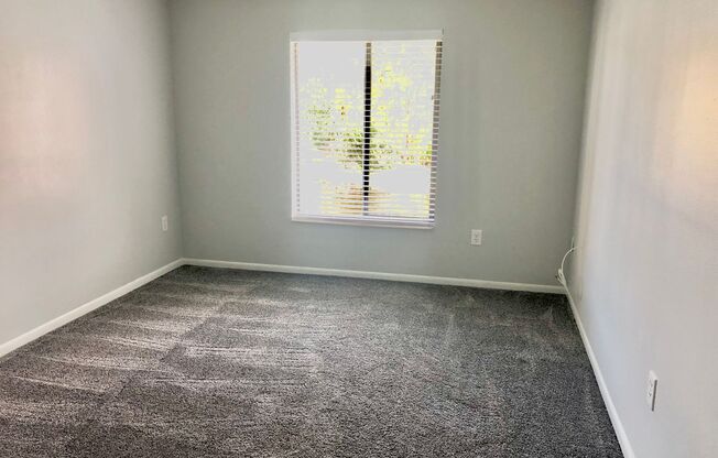 1 bed, 1 bath, $1,300