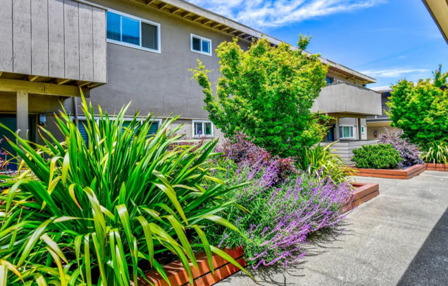 2 beds, 1 bath, 800 sqft, $2,295, Unit 4