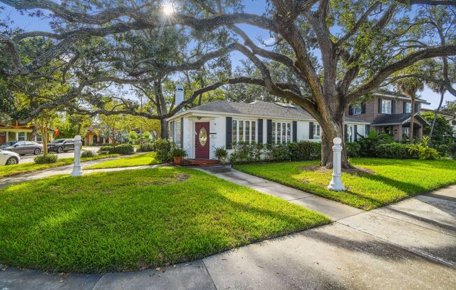 Beautiful Home on Davis Island