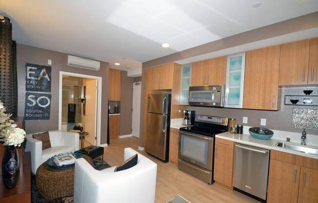 819 Broadway 210 Living Kitchen 3
