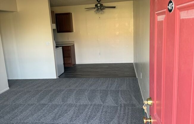 1 bed, 1 bath, 517 sqft, $550, Unit 417