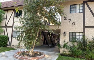 270 Elmwood Properties