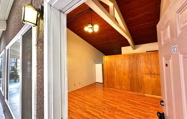 Studio, 1 bath, 350 sqft, $1,295, Unit 203