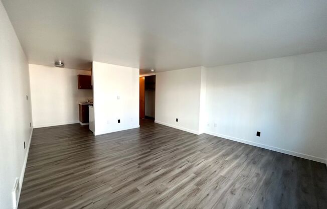 Studio, 1 bath, 464 sqft, $1,425, Unit 206