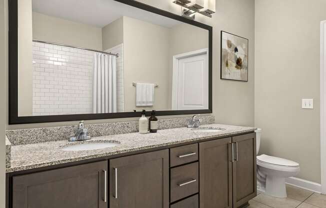 a bathroom with a large mirror and a sink and a toilet