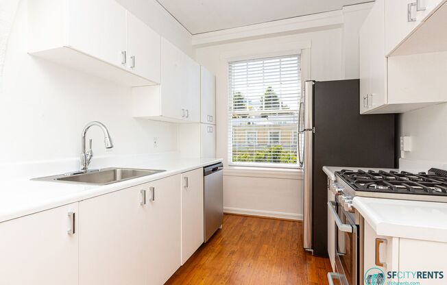 Pacific Heights: Remodeled Massive 1 Bedroom Apartment w/ View & Laundry Onsite near Polk/Fillmore/Union Streets