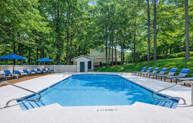 A large blue swimming pool surrounded by trees and lounge chairs.