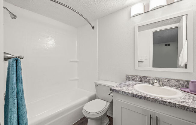 a bathroom with a sink toilet and a mirror