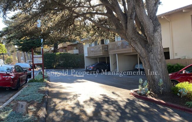 1 bed, 1 bath, 655 sqft, $2,225, Unit 43