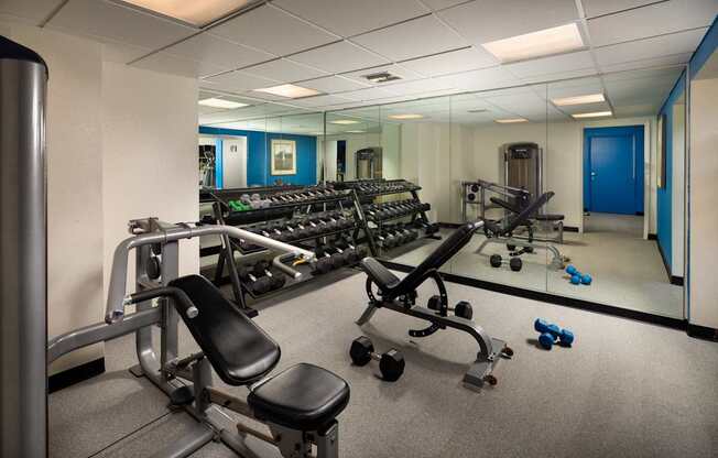 Gym with a lot of exercise equipment in it