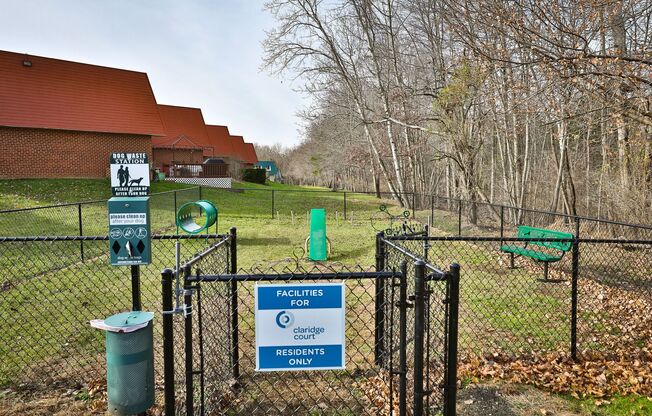 Dog Park