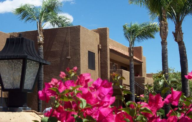 Exterior of La Lomita Apartments in Tucson Arizona 2020