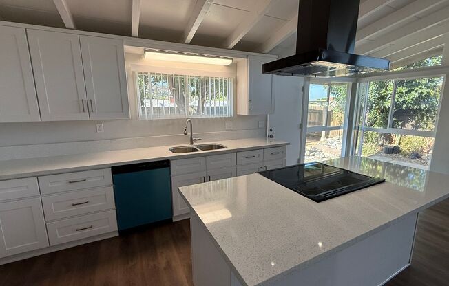 Incredible Remodled 4 bedroom House