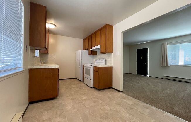 Updated Large 1 bedroom 1 bath Sunny & Bright SSF