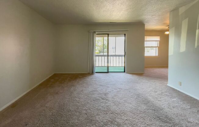 3 beds, 1 bath, 1,092 sqft, $975, Unit 1D