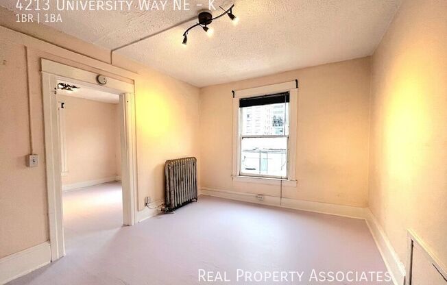 4213 UNIVERSITY WAY NE