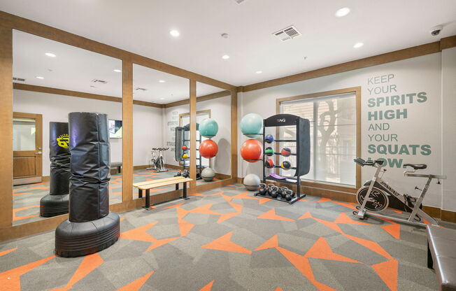 the gym at the colony apartments at Lakeline East Apartments, Cedar Park, 78613