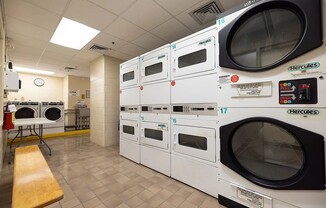 1 bed, 1 bath, $4,165, Unit 11D