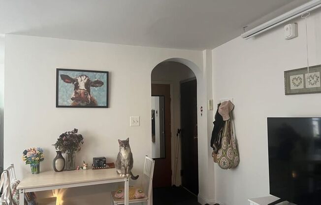 1 bed, 1 bath, 396 sqft, $1,095, Unit A106