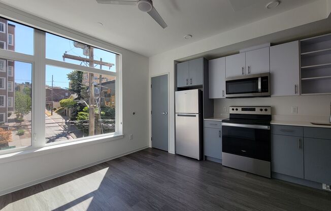 Studio, 1 bath, 238 sqft, $1,390, Unit 505