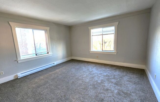 Studio, 1 bath, 425 sqft, $1,050, Unit 202