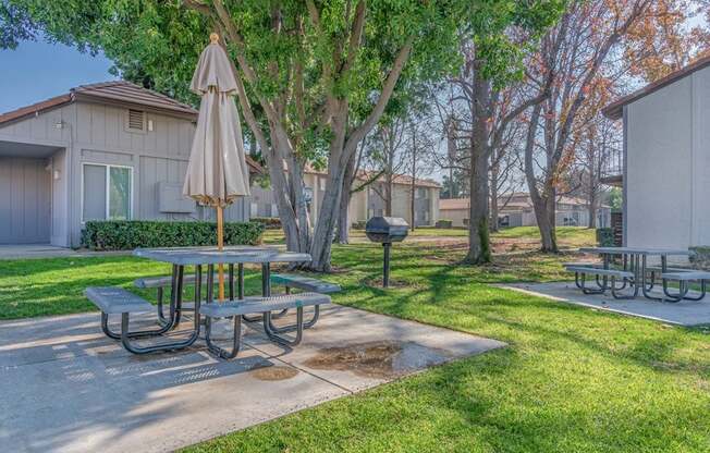 Citrus Grove Apartments