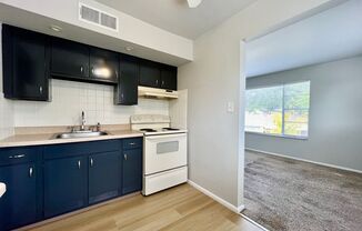 1 bed, 1 bath, 700 sqft, $750, Unit 4101-2H