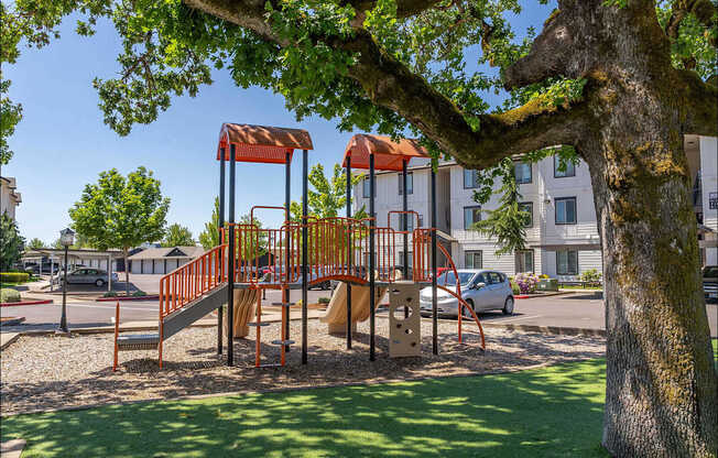 A playground with a slide and a tree in the foreground at Riverplace Apartment Homes, Oregon, 97351