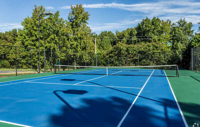 A blue tennis court with a green border and a white line down the middle.