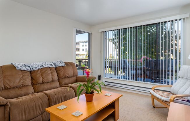 Just landing in the East Bay? Fully Furnished Resort 1 Bdrm. condo available on a short or long term basis